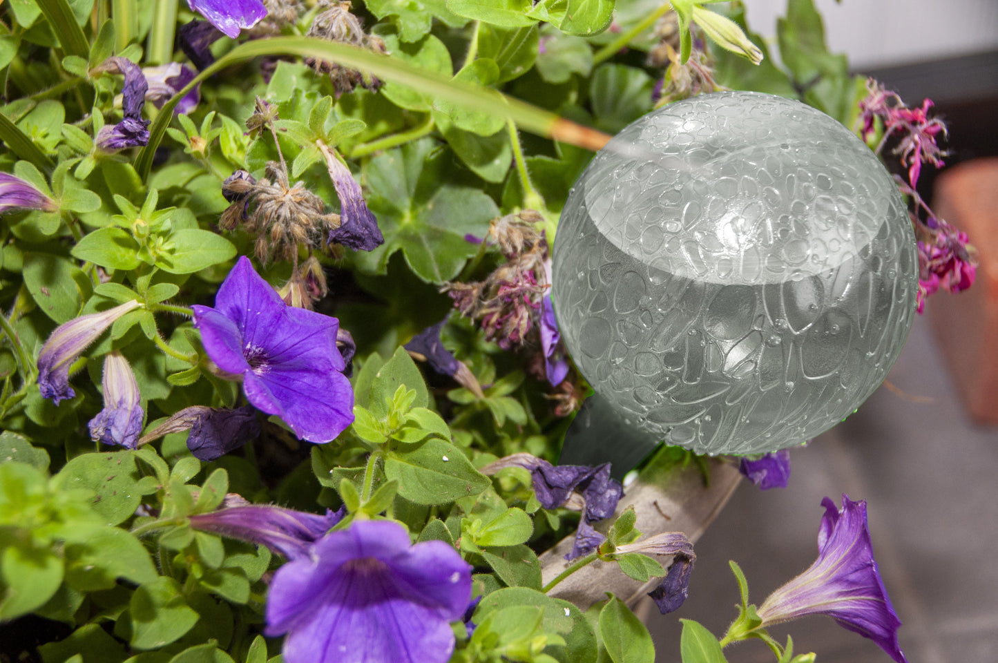 12 Inch round Plastic Self Watering Globe for Planters