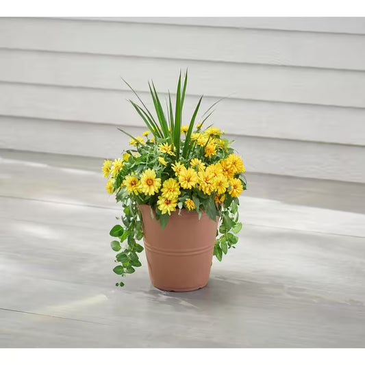 12 In. Hallie Medium Peach Terracotta Plastic Planter (12 In. D X 10 In. H) with Drainage Hole