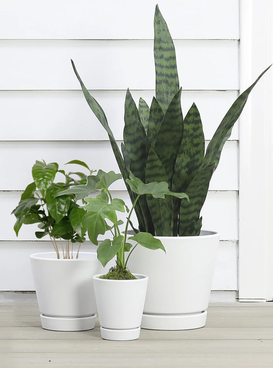 Recycled Resin Planter with Attached Saucer, White, 8In X 8In X 7.2In
