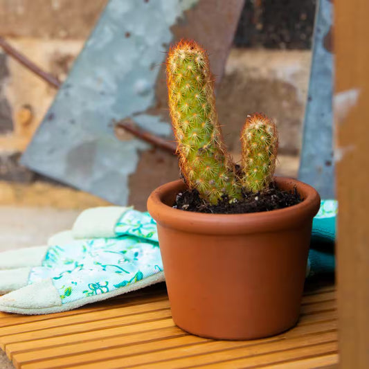 3 In. Small Terra Cotta Clay Cylinder Pot