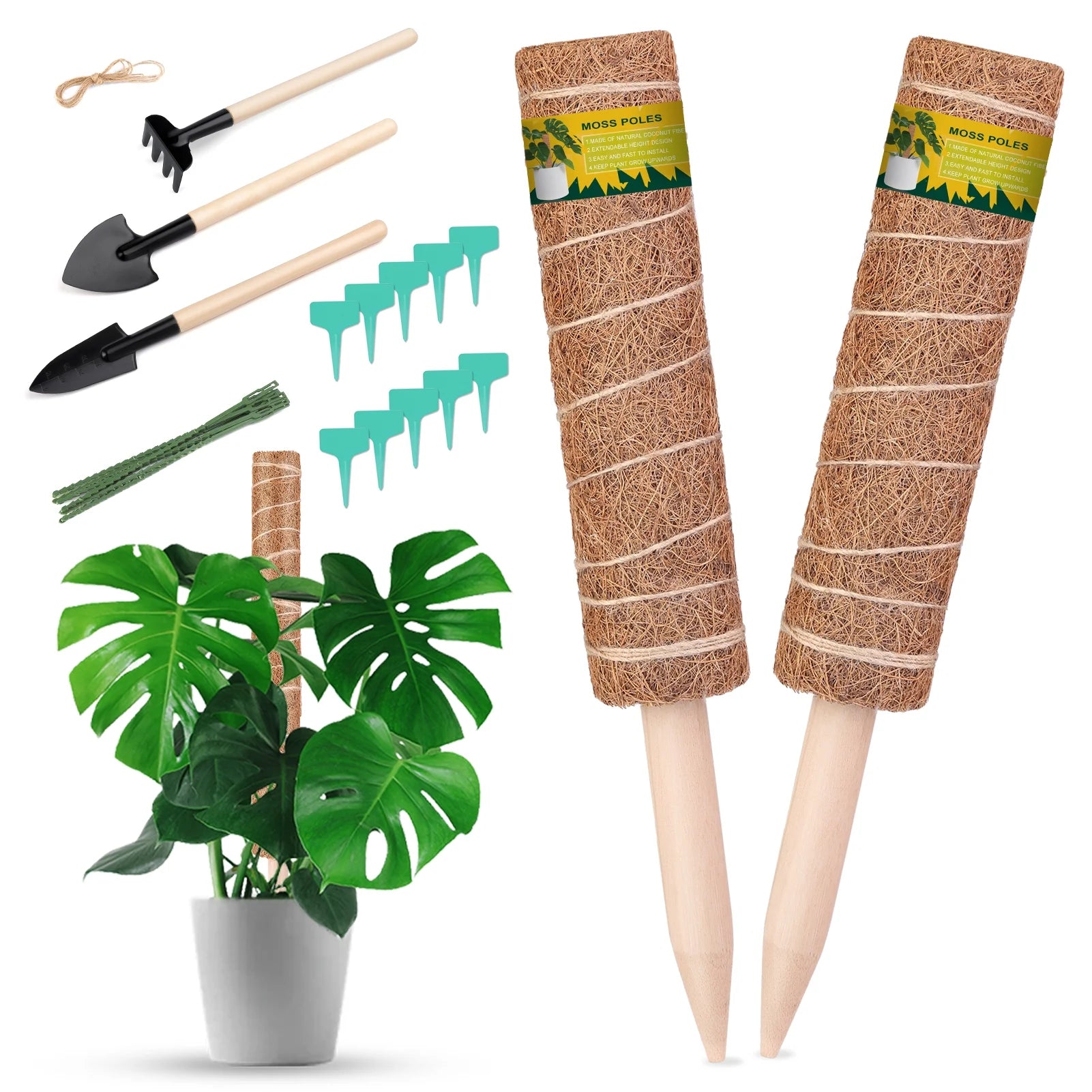 Moss Poles, Moss Poles for Climbing Plants, Coconut Palm Stick, for Plant Support Extension, 30Cm