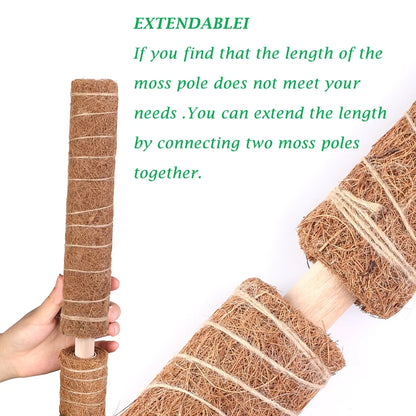 Moss Poles, Moss Poles for Climbing Plants, Coconut Palm Stick, for Plant Support Extension, 30Cm