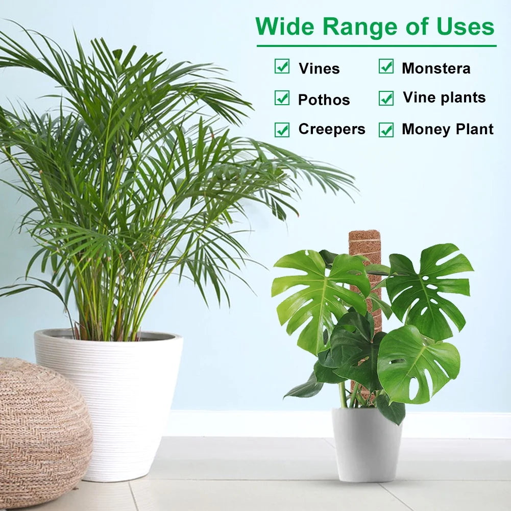 Moss Poles, Moss Poles for Climbing Plants, Coconut Palm Stick, for Plant Support Extension, 30Cm