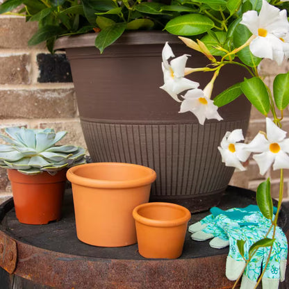 3 In. Small Terra Cotta Clay Cylinder Pot