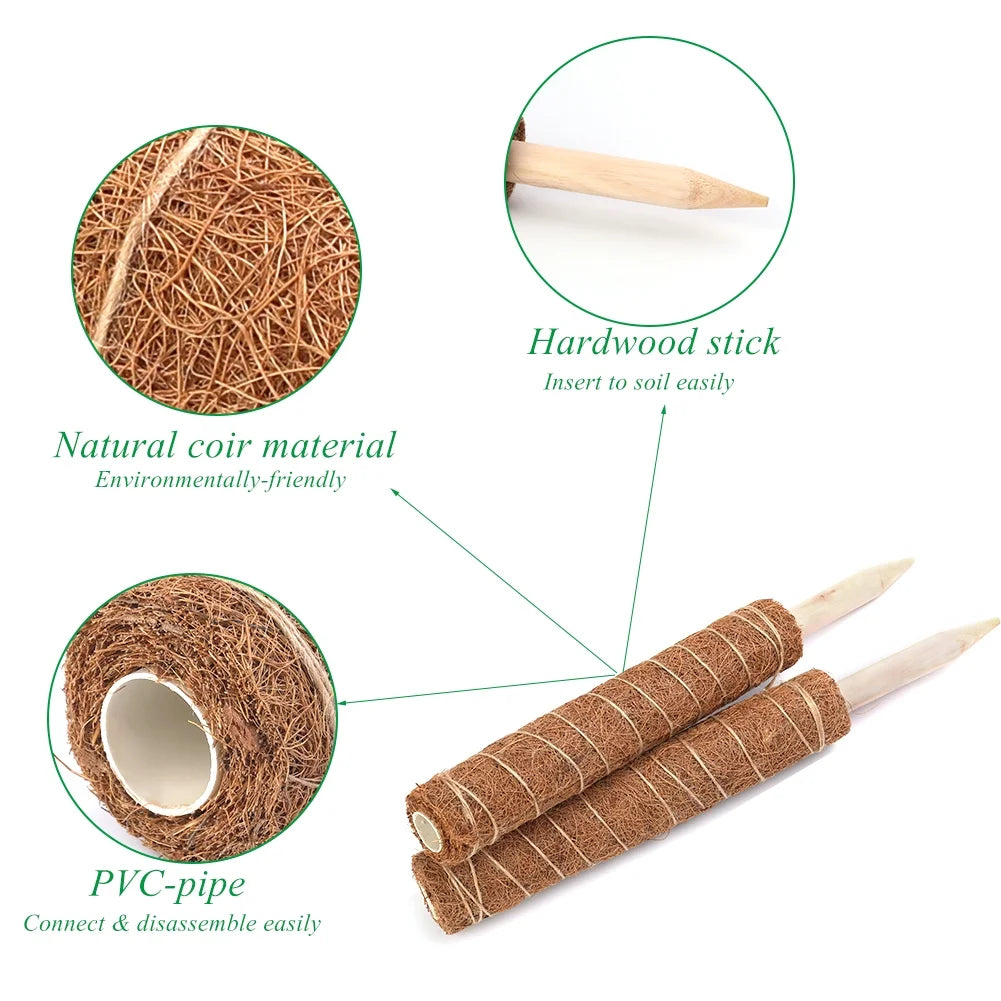 Moss Poles, Moss Poles for Climbing Plants, Coconut Palm Stick, for Plant Support Extension, 30Cm